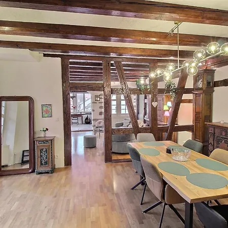 Διαμέρισμα : 6 Pers, Charme Et Modernite, Centre-ville, Parking Inclus - Fr-1-722-14 Κολμάρ