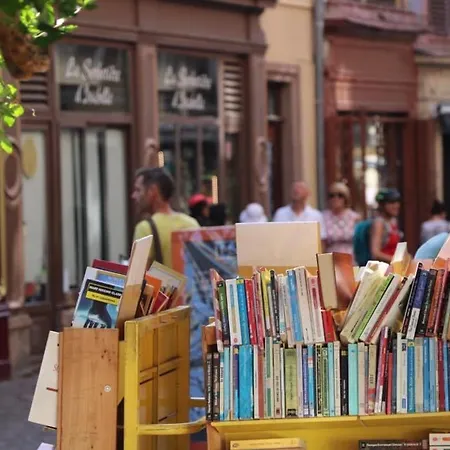 Διαμέρισμα : 6 Pers, Charme Et Modernite, Centre-ville, Parking Inclus - Fr-1-722-14 *