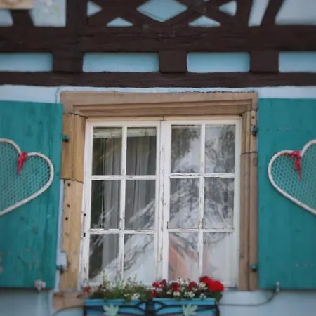 Lägenhet : 6 Pers, Charme Et Modernite, Centre-ville, Parking Inclus - Fr-1-722-14 Colmar