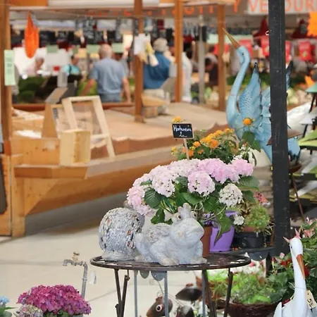 Apartment 6 Pers. Au Coeur De Avec Parking Prive - Fr-1-722-14 *