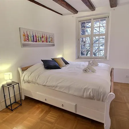 : 6 Pers, Charme Et Modernite, Centre-ville, Parking Inclus - Fr-1-722-14 * コルマール
