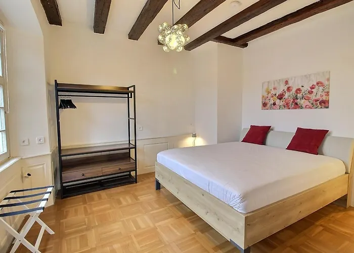 Lägenhet : 6 Pers, Charme Et Modernite, Centre-ville, Parking Inclus - Fr-1-722-14 Colmar