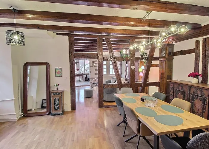 Appartement : 6 Pers, Charme Et Modernite, Centre-ville, Parking Inclus - Fr-1-722-14 Colmar