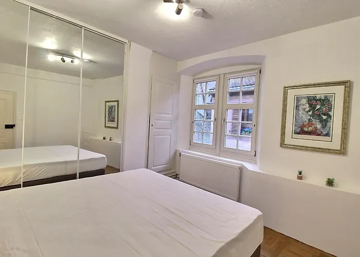 : 6 Pers, Charme Et Modernite, Centre-ville, Parking Inclus - Fr-1-722-14 *