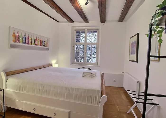 : 6 Pers, Charme Et Modernite, Centre-ville, Parking Inclus - Fr-1-722-14 Colmar