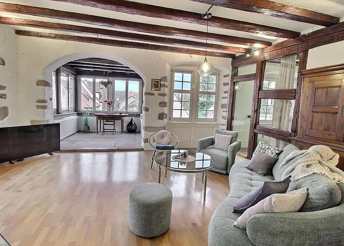 Appartement : 6 Pers, Charme Et Modernite, Centre-ville, Parking Inclus - Fr-1-722-14 Colmar