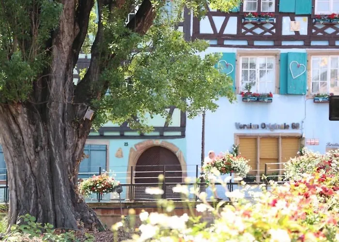 : 6 Pers, Charme Et Modernite, Centre-ville, Parking Inclus - Fr-1-722-14 Lägenhet Colmar