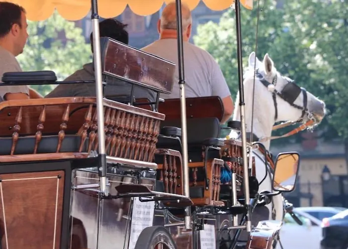 : 6 Pers, Charme Et Modernite, Centre-ville, Parking Inclus - Fr-1-722-14 Lägenhet