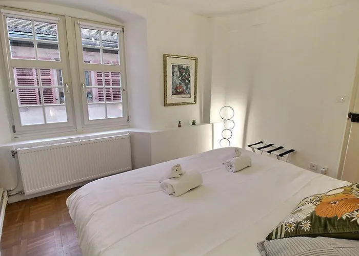公寓 : 6 Pers, Charme Et Modernite, Centre-ville, Parking Inclus - Fr-1-722-14 科尔马