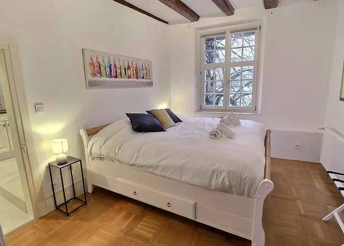 : 6 Pers, Charme Et Modernite, Centre-ville, Parking Inclus - Fr-1-722-14 * 科尔马