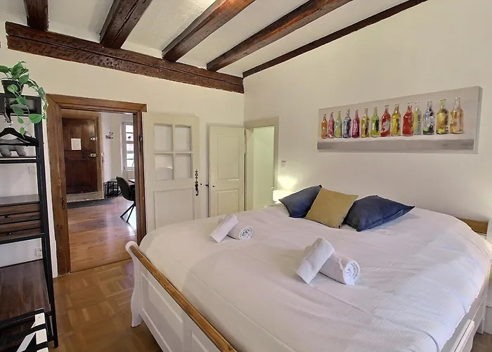 : 6 Pers, Charme Et Modernite, Centre-ville, Parking Inclus - Fr-1-722-14 公寓 科尔马