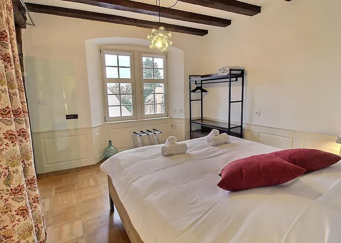 Appartement : 6 Pers, Charme Et Modernite, Centre-ville, Parking Inclus - Fr-1-722-14 Colmar